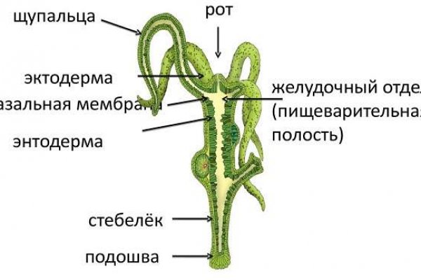 Как заказать на кракене